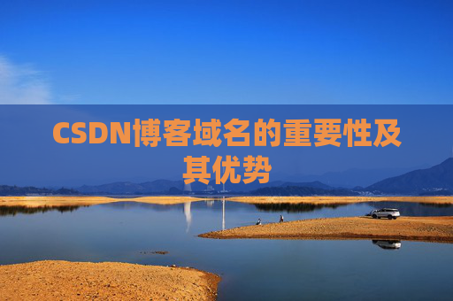 CSDN博客域名的重要性及其优势